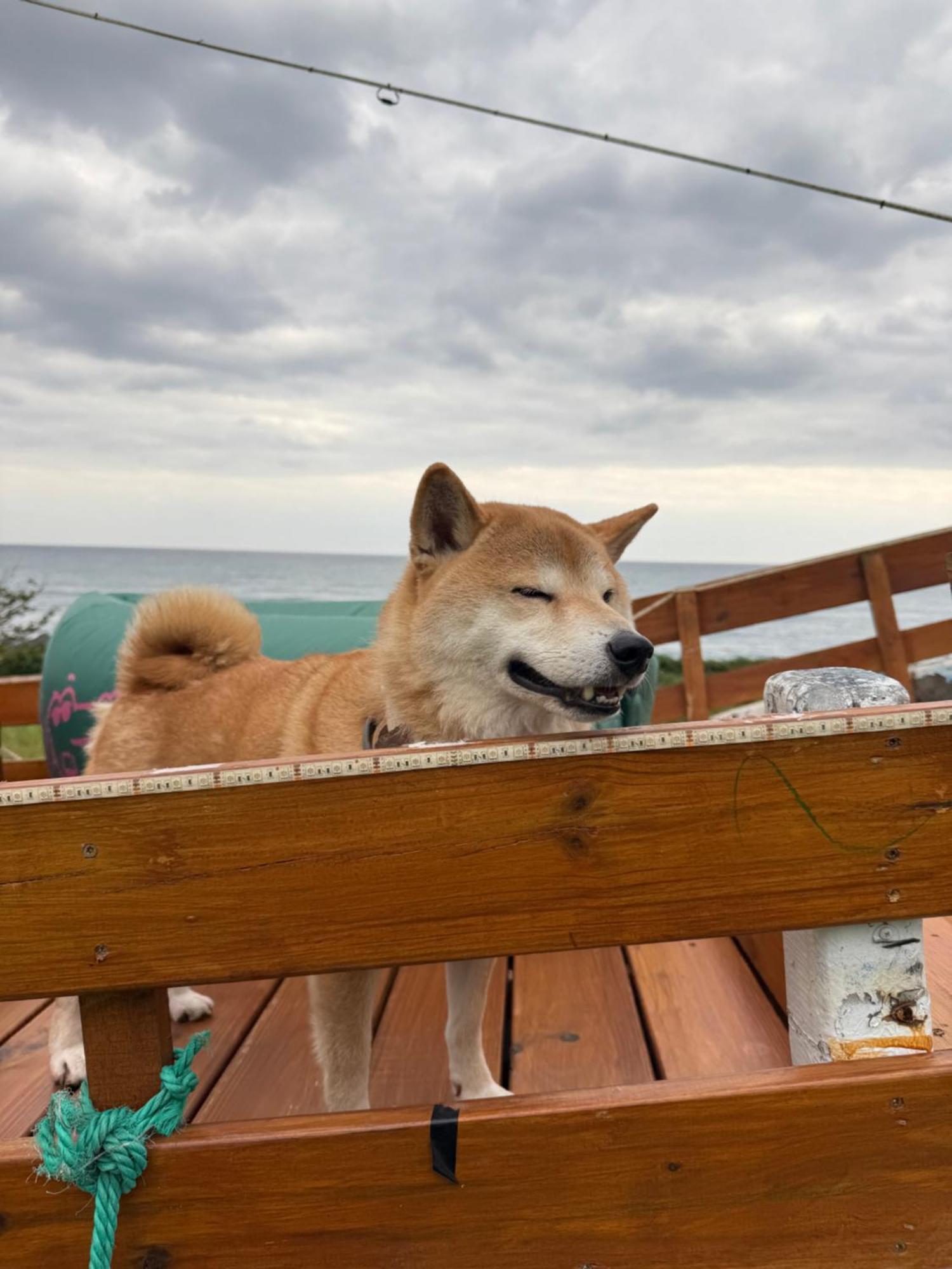 Sea-Hi B&B Yanliau Zewnętrze zdjęcie